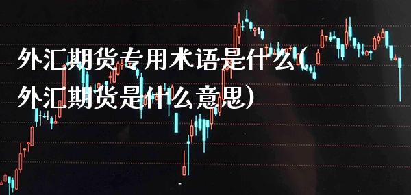 外汇期货专用术语是什么(外汇期货是什么意思)_https://www.xmqjcw.com_期货百科_第1张