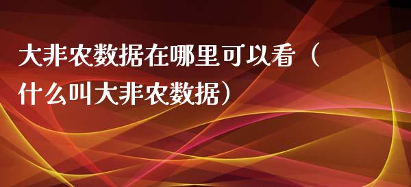 大非农数据在哪里可以看（什么叫大非农数据）_https://www.xmqjcw.com_期货投资_第1张