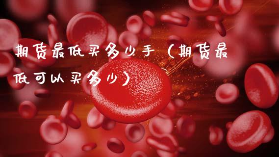 期货最低买多少手（期货最低可以买多少）_https://www.xmqjcw.com_期货投资_第1张