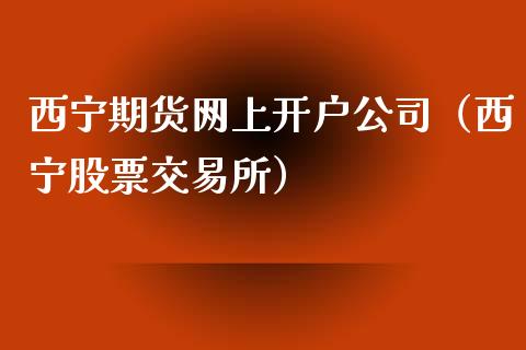 西宁期货网上开户公司（西宁股票交易所）_https://www.xmqjcw.com_期货行情_第1张