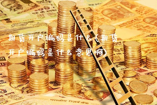 期货开户编码是什么(期货开户编码是什么意思啊)_https://www.xmqjcw.com_期货投资_第1张