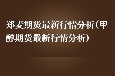 郑麦期货最新行情分析(甲醇期货最新行情分析)_https://www.xmqjcw.com_期货直播室_第1张