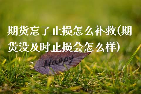 期货忘了止损怎么补救(期货没及时止损会怎么样)_https://www.xmqjcw.com_期货行情_第1张