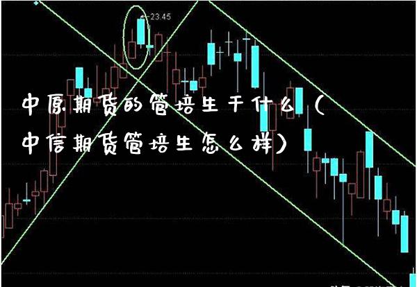 中原期货的管培生干什么（中信期货管培生怎么样）_https://www.xmqjcw.com_期货开户_第1张