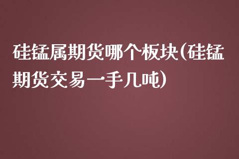 硅锰属期货哪个板块(硅锰期货交易一手几吨)_https://www.xmqjcw.com_期货百科_第1张