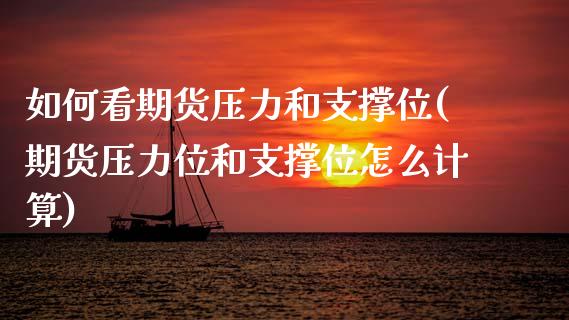 如何看期货压力和支撑位(期货压力位和支撑位怎么计算)_https://www.xmqjcw.com_期货百科_第1张