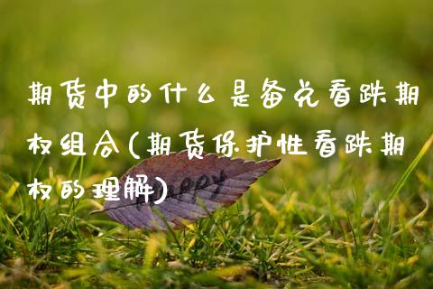 期货中的什么是备兑看跌期权组合(期货保护性看跌期权的理解)_https://www.xmqjcw.com_期货开户_第1张