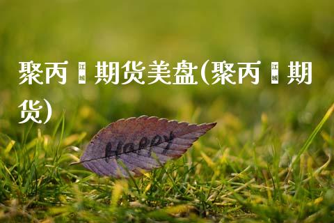 聚丙烯期货美盘(聚丙烯期货)_https://www.xmqjcw.com_期货行情_第1张