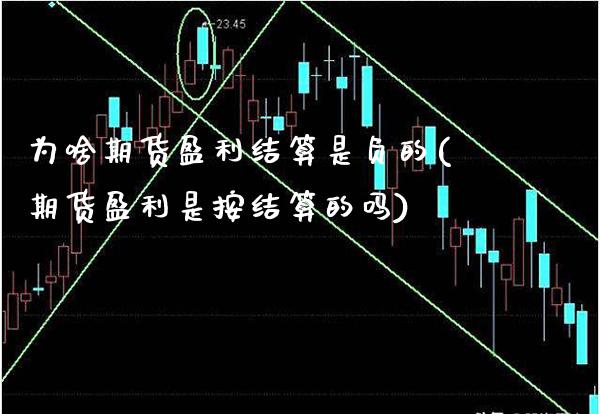 为啥期货盈利结算是负的(期货盈利是按结算的吗)_https://www.xmqjcw.com_股票投资_第1张