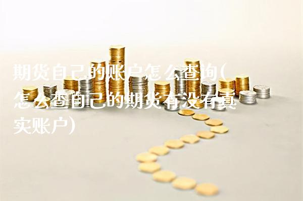 期货自己的账户怎么查询(怎么查自己的期货有没有真实账户)_https://www.xmqjcw.com_期货百科_第1张