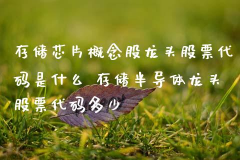 存储芯片概念股龙头股票代码是什么 存储半导体龙头股票代码多少_https://www.xmqjcw.com_股票投资_第1张