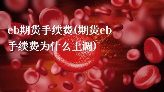 eb期货手续费(期货eb手续费为什么上调)_https://www.xmqjcw.com_期货投资_第1张