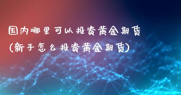 国内哪里可以投资黄金期货(新手怎么投资黄金期货)_https://www.xmqjcw.com_期货百科_第1张