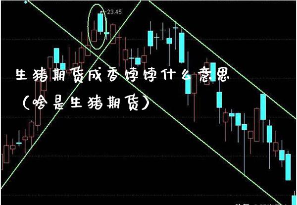 生猪期货成香饽饽什么意思（啥是生猪期货）_https://www.xmqjcw.com_期货投资_第1张