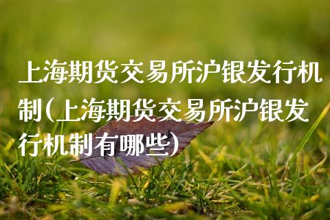 上海期货交易所沪银发行机制(上海期货交易所沪银发行机制有哪些)_https://www.xmqjcw.com_期货百科_第1张