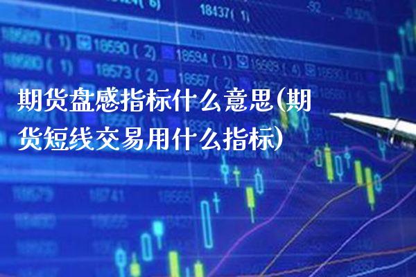 期货盘感指标什么意思(期货短线交易用什么指标)_https://www.xmqjcw.com_期货百科_第1张