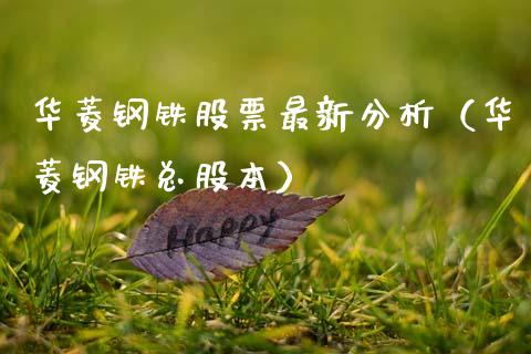 华菱钢铁股票最新分析（华菱钢铁总股本）_https://www.xmqjcw.com_期货直播室_第1张