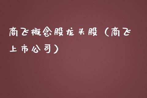 商飞概念股龙头股（商飞 上市公司）_https://www.xmqjcw.com_股票投资_第1张