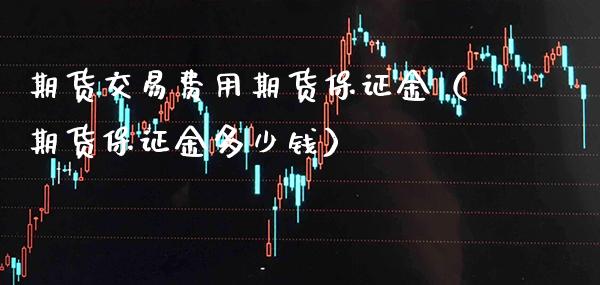 期货交易费用期货保证金（期货保证金多少钱）_https://www.xmqjcw.com_期货直播室_第1张