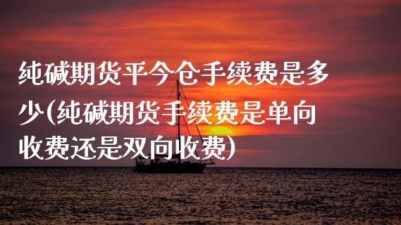 纯碱期货平今仓手续费是多少(纯碱期货手续费是单向收费还是双向收费)_https://www.xmqjcw.com_期货行情_第1张