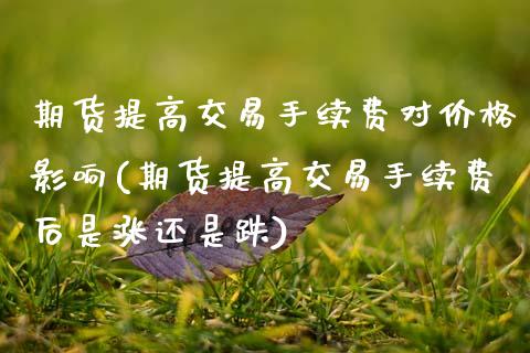 期货提高交易手续费对价格影响(期货提高交易手续费后是涨还是跌)_https://www.xmqjcw.com_期货开户_第1张