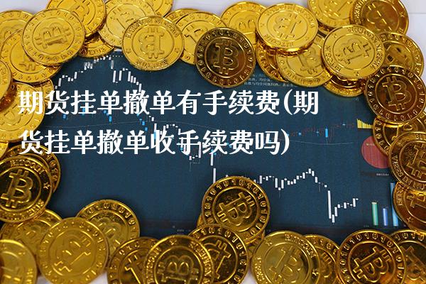 期货挂单撤单有手续费(期货挂单撤单收手续费吗)_https://www.xmqjcw.com_股票投资_第1张
