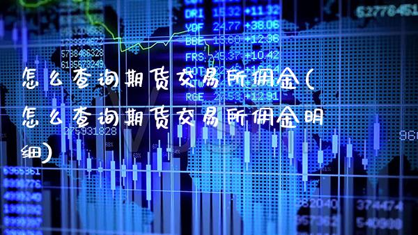 怎么查询期货交易所佣金(怎么查询期货交易所佣金明细)_https://www.xmqjcw.com_期货百科_第1张