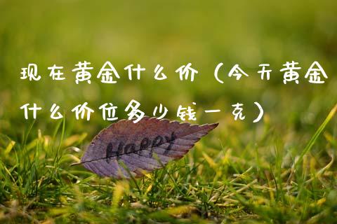现在黄金什么价（今天黄金什么价位多少钱一克）_https://www.xmqjcw.com_期货投资_第1张