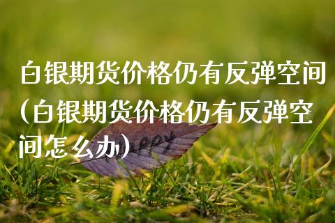 白银期货价格仍有反弹空间(白银期货价格仍有反弹空间怎么办)_https://www.xmqjcw.com_期货百科_第1张