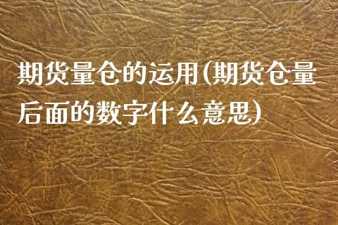 期货量仓的运用(期货仓量后面的数字什么意思)_https://www.xmqjcw.com_期货开户_第1张