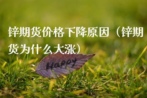 锌期货价格下降原因（锌期货为什么大涨）_https://www.xmqjcw.com_期货行情_第1张