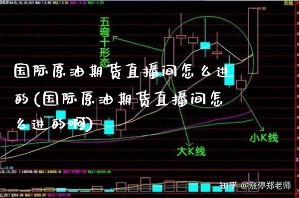 国际原油期货直播间怎么进的(国际原油期货直播间怎么进的啊)_https://www.xmqjcw.com_期货百科_第1张
