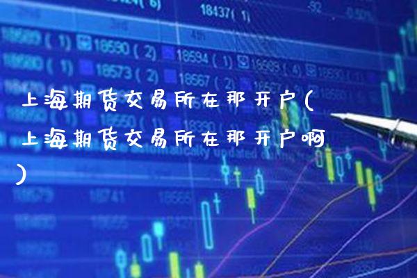 上海期货交易所在那开户(上海期货交易所在那开户啊)_https://www.xmqjcw.com_期货投资_第1张