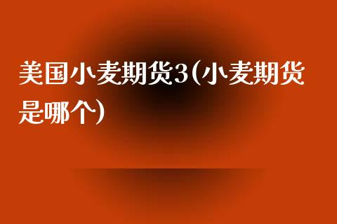 美国小麦期货3(小麦期货是哪个)_https://www.xmqjcw.com_期货开户_第1张