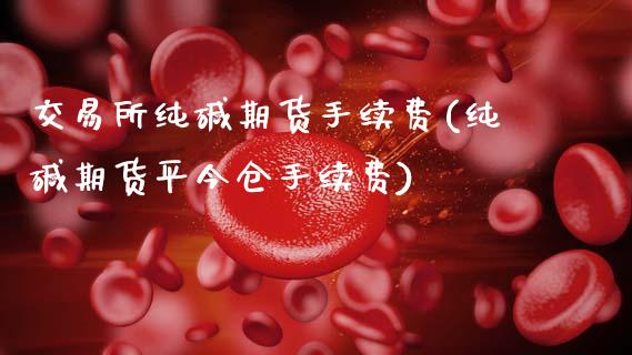 交易所纯碱期货手续费(纯碱期货平今仓手续费)_https://www.xmqjcw.com_期货百科_第1张