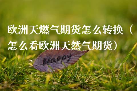 欧洲天燃气期货怎么转换（怎么看欧洲天然气期货）_https://www.xmqjcw.com_期货投资_第1张