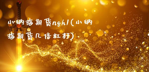 小纳指期货nqh1(小纳指期货几倍杠杆)_https://www.xmqjcw.com_期货百科_第1张
