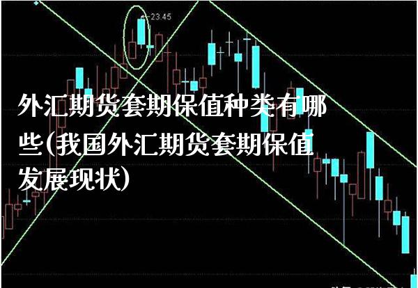外汇期货套期保值种类有哪些(我国外汇期货套期保值发展现状)_https://www.xmqjcw.com_期货百科_第1张