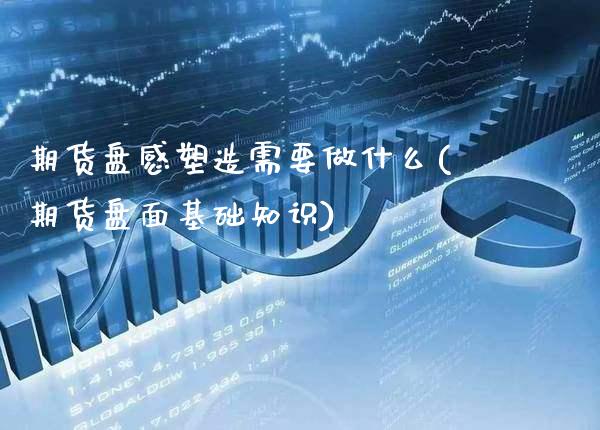 期货盘感塑造需要做什么(期货盘面基础知识)_https://www.xmqjcw.com_期货百科_第1张