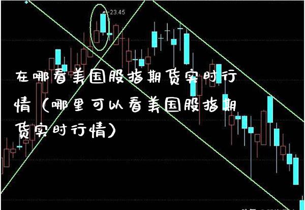 在哪看美国股指期货实时行情（哪里可以看美国股指期货实时行情）_https://www.xmqjcw.com_期货行情_第1张