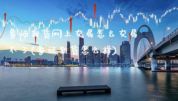鲁证期货网上交易怎么交易不了(鲁证期货怎么样)_https://www.xmqjcw.com_期货行情_第1张