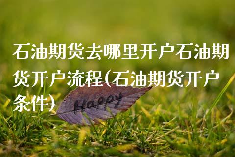 石油期货去哪里开户石油期货开户流程(石油期货开户条件)_https://www.xmqjcw.com_期货投资_第1张