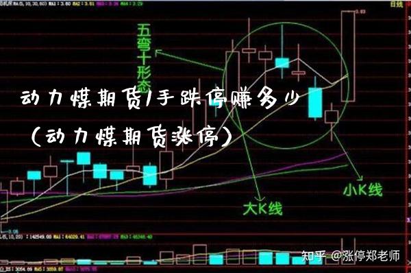 动力煤期货1手跌停赚多少（动力煤期货涨停）_https://www.xmqjcw.com_期货直播室_第1张