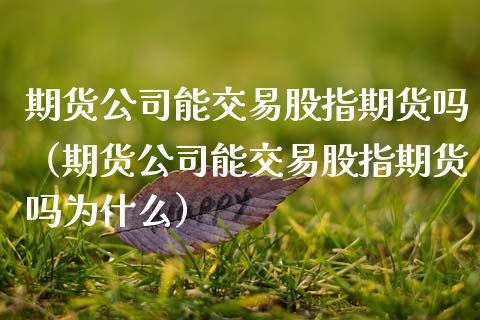期货公司能交易股指期货吗（期货公司能交易股指期货吗为什么）_https://www.xmqjcw.com_期货开户_第1张