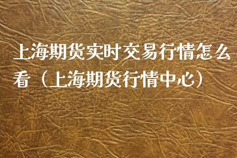 上海期货实时交易行情怎么看（上海期货行情中心）_https://www.xmqjcw.com_期货直播室_第1张