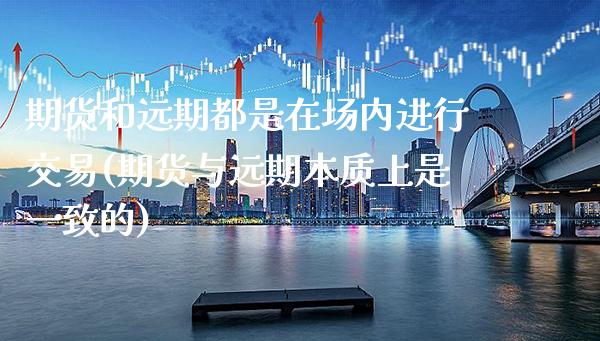 期货和远期都是在场内进行交易(期货与远期本质上是一致的)_https://www.xmqjcw.com_期货百科_第1张