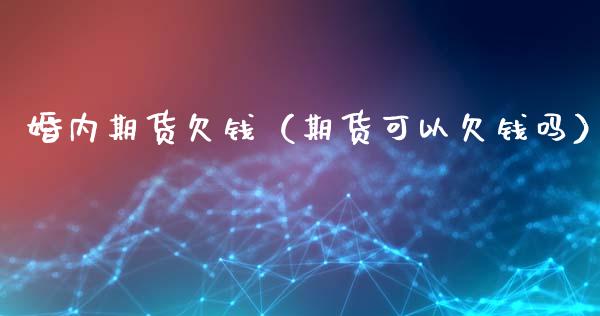 婚内期货欠钱（期货可以欠钱吗）_https://www.xmqjcw.com_期货开户_第1张