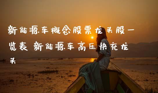 新能源车概念股票龙头股一览表 新能源车高压快充龙头_https://www.xmqjcw.com_股票投资_第1张