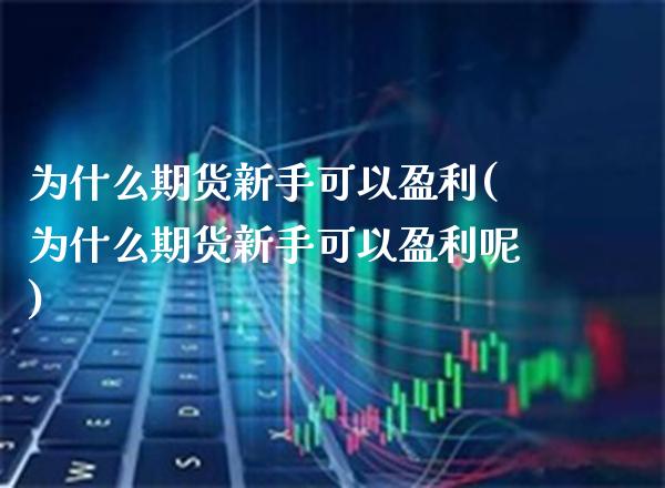 为什么期货新手可以盈利(为什么期货新手可以盈利呢)_https://www.xmqjcw.com_基金理财_第1张