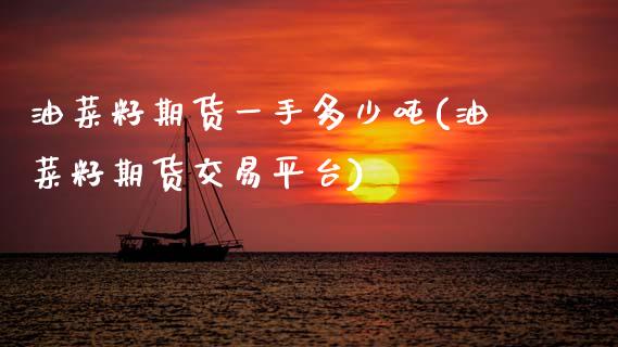 油菜籽期货一手多少吨(油菜籽期货交易平台)_https://www.xmqjcw.com_期货百科_第1张